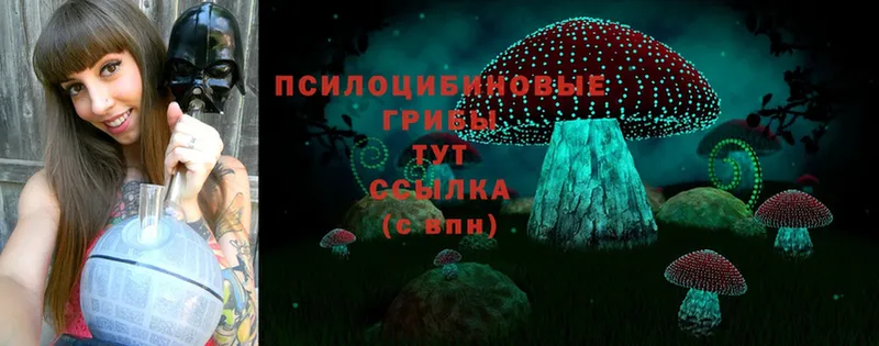 Псилоцибиновые грибы Psilocybe  Куйбышев 